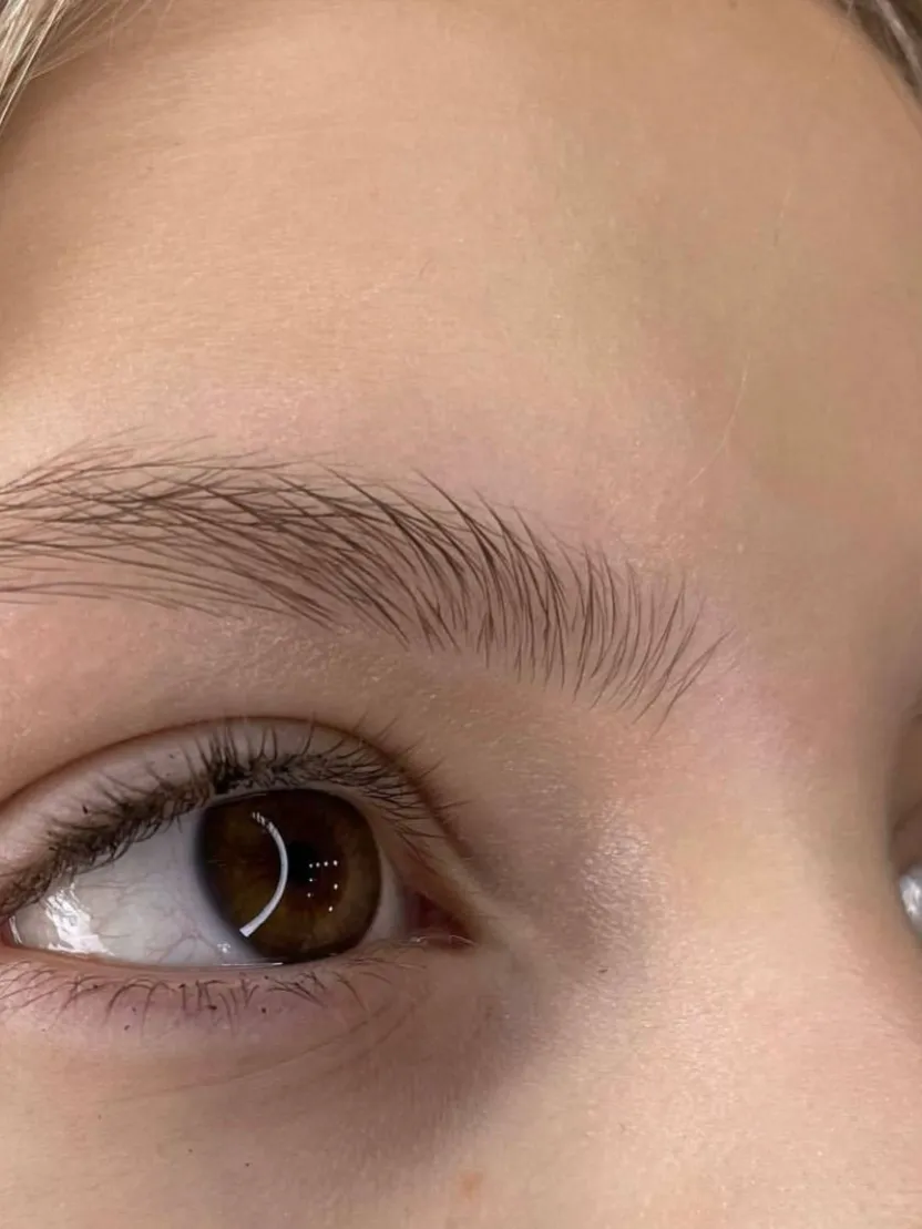 Primer plano de cejas naturales después del diseño y el tinte